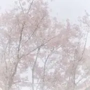 1998の画像