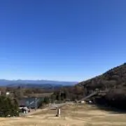 yamaの画像
