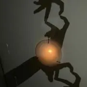 ぴよまる