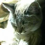 ユト