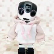 haluichiの画像