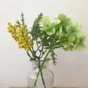 miicoの画像