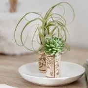 よっピ(^^)/