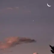 ミャ❀の画像
