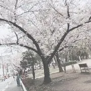 るんるん