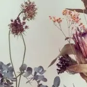 Shuki39の画像