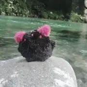 ゆき