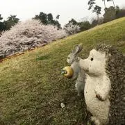 とっこの画像