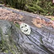Naporinの画像