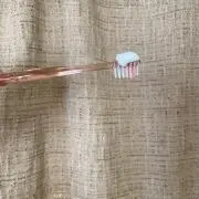 炒飯の画像