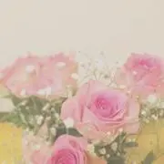 かえ（コメントなし購入可）の画像