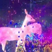 liiiiii--の画像