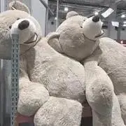 Ｙ(断捨離中)の画像