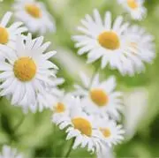 ♡ ※値下げ交渉大歓迎！の画像
