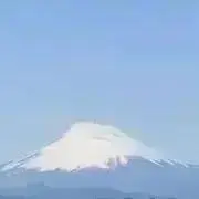 mfjの画像