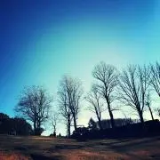 ariyokoの画像