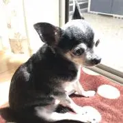✴︎A・T✴︎