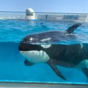 ゆうぱち