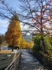 なっしーの画像