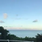 ゆうわかの画像