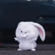 かんてんの画像