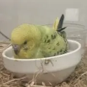 マキロン