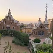 ぴょん☺︎の画像