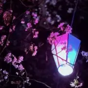 A. U. ※プロフ必読の画像