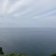 taの画像