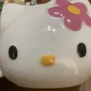 Miyaの画像