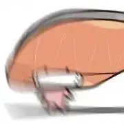 ら*の画像