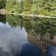 はりぽたの画像