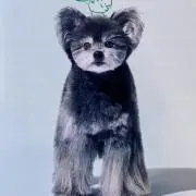 ナオ