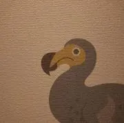 mgyの画像