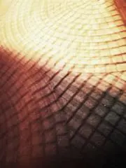 遊戯王 エンシェント・プロフェシー2パックセット - メルカリ