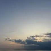 はなꕤ︎︎匿名配送の画像