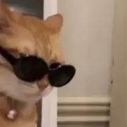 naの画像