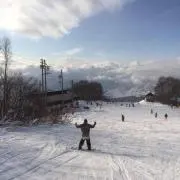 K62の画像