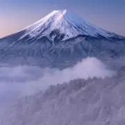 カテリーナの画像