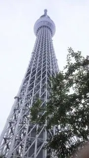 Carrotの画像