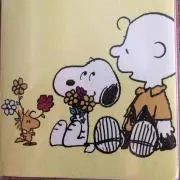 きなこ