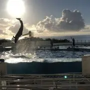 SMI ポール・J・マイヤー目標設定の力・成功への心構えトータルパースンへの招待 SMI ポール・J・マイヤー目標設定の力・成功への心構えトータル