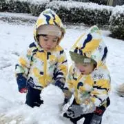 双子のママ⚡️の画像