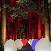 海苔の画像