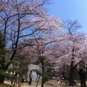 fuutan
