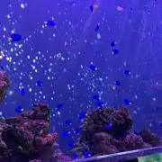 Meymeyの画像