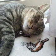 パー子の画像