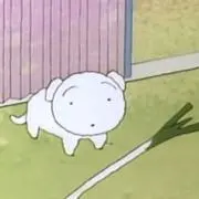 甲斐犬