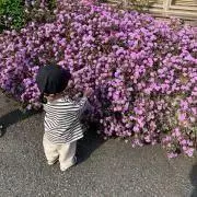 ゆきんこ★プロフ必須の画像