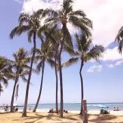 A.I ※プロフ必読下さいの画像